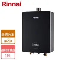 在飛比找ETMall東森購物網優惠-【林內Rinnai】RUA-C1628WF 屋內型強制排氣熱