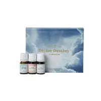 在飛比找蝦皮購物優惠-現貨 悠樂芳 美標 Divine Destiny 我的神聖旅