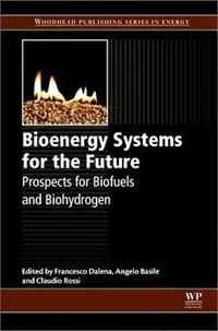 在飛比找三民網路書店優惠-Bioenergy Systems for the Futu