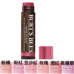 Niche好物｜蜜蜂爺爺Burt’s bees tinted lip balm塗鴉彩色唇膏 潤色護唇膏 BTS防彈少年團