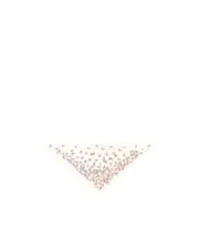 Dior Camo Papillon Triangle Scarf One size White