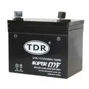 TDR 12V 28AH U1-R11(GEL) 300CCA AGM GEL Battery: for Garden Lawn Mower, Ride-On Lawnmower, Small Engines, Personal Watercraft, Garden Tractors, Generators, and Specialist Applications