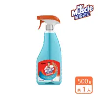 在飛比找momo購物網優惠-【威猛先生】玻璃清潔劑噴槍瓶(500g)