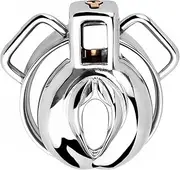 XWPBBFFC BDSM Vagina Style Penis Cage Small Chastity Cage Male, Chastity Bondage Lock Men Stainless Steel Chastity Belt Chastity Cage SM Sex Toys for Men(Size:50mm)