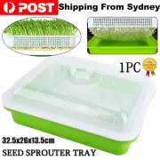 1PC Seed Sprouter Tray with Lid BPA Free Bean Sprout Grower Sprouting Seeds Tray