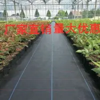 在飛比找樂天市場購物網優惠-防草布除草布地布抗老化園藝地布抑草布大棚果園防草布膜黑色地釘