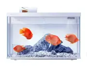 Mijia Desgeo 30L Smart Fish Tank Built in Filter/Pump & LED Works With MiHome AP