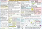 FTS AVIATION WEATHER & CHARTS, LIMITATIONS AND RECOMMENDED TECHNIQUES ( POSTER - size: 27x19 in )