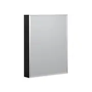 CRAFT + MAIN MMC2330 23" x 30" Frameless Single Door Mirrored