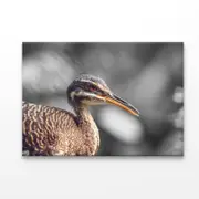 B&W Scenic View of Bird Print 100% Australian Made 90 x 60cm (Acrylic)