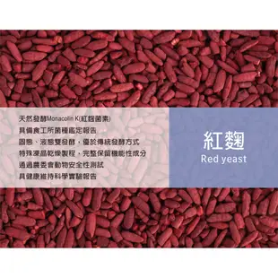 【健康物語】 納豆紅麴紅景天複合膠囊(60粒/盒)(即期品清 保存期限2021.10.28)