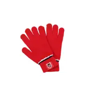 St George Illawarra Dragons NRL Touchscreen Gloves