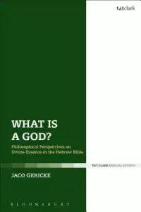 在飛比找博客來優惠-What Is a God?: Philosophical 