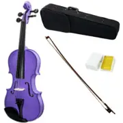 SKY 4/4 Full Size Solid Wood PurpleViolin Beautiful Purfling with Brazilwood Bow