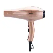 Hair Salon Tool Constant Temperature Negative Ion Negative Ion Electric Hair