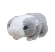 Take-Off Guinea Pig Gray