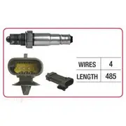 RAE Oxygen Sensor - OX679