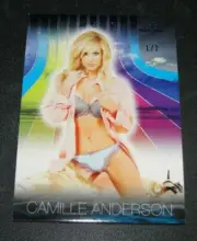 2017 Benchwarmer CAMILLE ANDERSON Dreamgirls #19 Blue Insert/2 Wedding Crashers
