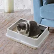 Open Top Pet Litter Toilet Sand Box Portable Pet Cleaning Tool with Scoop Kitten