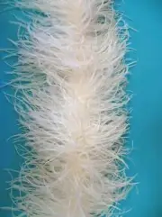 4 Ply OSTRICH FEATHER BOA - IVORY 2 Yards Costumes Hats