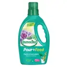 Scotts Osmocote Pour+Feed Cacti & Succulents 1L -Ready to use liquid fertiliser