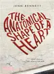 The Anatomical Shape of a Heart