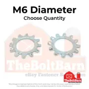 M6 Class 10 External Tooth Lock Washers Zinc Clear (Pick Quantity)