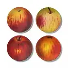 John Derian Target Melamine Salad Plate Set Apple Print Red 20th Anniversary XXO