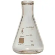 100ml Narrow Mouth Erlenmeyer Flask, 3.3 Borosilicate Glass (Case of 192)