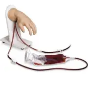 Nasco Life/Form Brand New LF01139 Advanced IV Manikin White Hand Medical Nursing