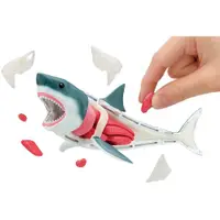 在飛比找蝦皮商城優惠-MegaHouse 自然科學系列 鯊魚 趣味拼圖 東海模型