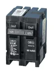 Eaton BRX2125 Type BR Circuit Breaker 125A/2 Pole Com. Trip 120/240V 65K