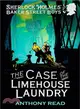 The Baker Street Boys: The Case of the Limehouse Laundry