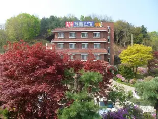 雞林山莊汽車旅館Gyerim Sanjang Motel