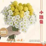 在飛比找遠傳friDay購物優惠-12小時秒發 洋甘菊 小雛菊插花 蜜糖菊 韓系ins風 荷蘭