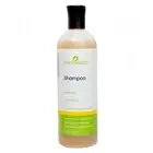 Zion Health Clarifying Shampoo-Lemon Mint 16 oz Liquid