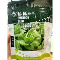 在飛比找蝦皮購物優惠-城禾農產🍃 綠寶石萵苣 約6000粒 蘿蔓 綠蘿蔓 綠寶石 