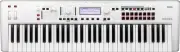 KORG KROSS2 61 SC White 61 Keys With Special Case