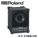 Roland CM-30 多功能擴大音箱