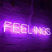 20" Feelings Purple Acrylic Neon Sign Light Lamp Real Glass Handmade With Dimmer