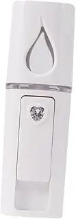 Ipetboom Handheld Facial Steamer Moisturizer for Face Nano Mist Sprayer Mini Device Portable