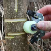 Tree Girdling Shear Bark Ring Orchard Tool Garden Trimming