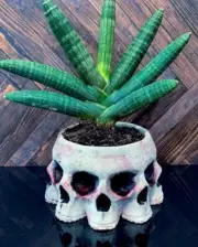 Skull, Gothic Decor, Goth Gift, Skull Bowl, Moody Decor Skull Planter. Creepy