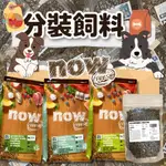 【分裝飼料】NOW 小型犬配方 (小顆粒) 鮮肉/鮮魚/成犬 無穀天然糧 狗飼料 狗糧