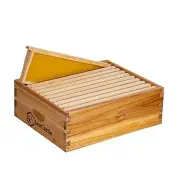 10 Frame Medium Super Bee Hive Box, Langstroth Honey Bee Hive Dipped 10-Frame