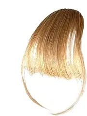 Human Hair Bangs Clip on | Real Human Hair Wig Women Bangs,Girlfriend Sisters Bangs with Temples Everyday Hair Extensions for Photography, Dating