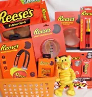 NEW REESES CANDY gift basket POWER BANK PLUSH PORT CHARGER SOCKS TIGER TEEN GIFT