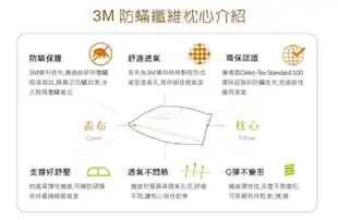 【3M】 Z370輕柔冬被 標準雙人 送 3M防蹣枕頭標準型1入 (8.7折)