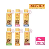 在飛比找momo購物網優惠-【Burt’s Bees】肌蜜系列犬用沐浴露16oz