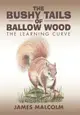 The Bushy Tails of Ballow Wood ― The Learning Curve